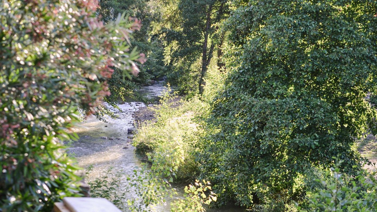 Gites De La Soulondre Lodève Esterno foto